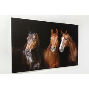 Fotoobraz 150x100 cm z vlastní fotografie, Plátno 100% bavlna: Premium Canvas 390g/m², S lakováním