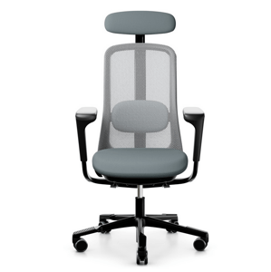 HÅG - Židle SoFi černá s područkami a s opěrkou hlavy, nižší sedák