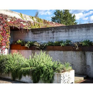 Il Giardino di Corten - Květináč TEBE RETTANGOLARE